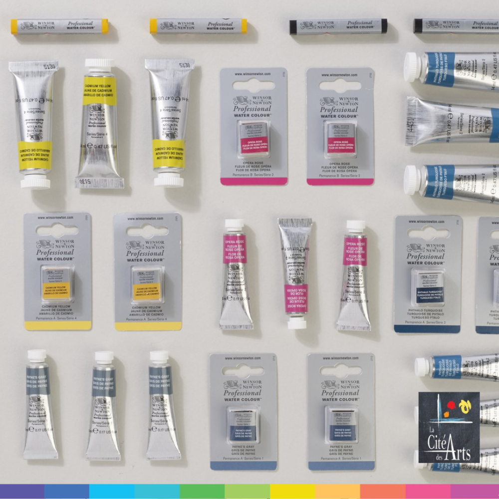 Professionnelle de Winsor et Newton